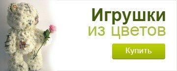 баннер 1